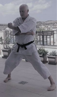 Rob Training Karate