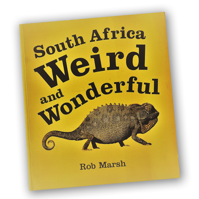 South Africa Weird and Wonderful